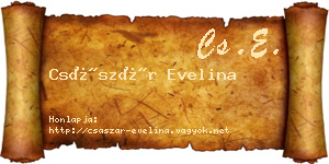 Császár Evelina névjegykártya